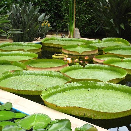 Casa Vacanze La Formica Verbania Dış mekan fotoğraf