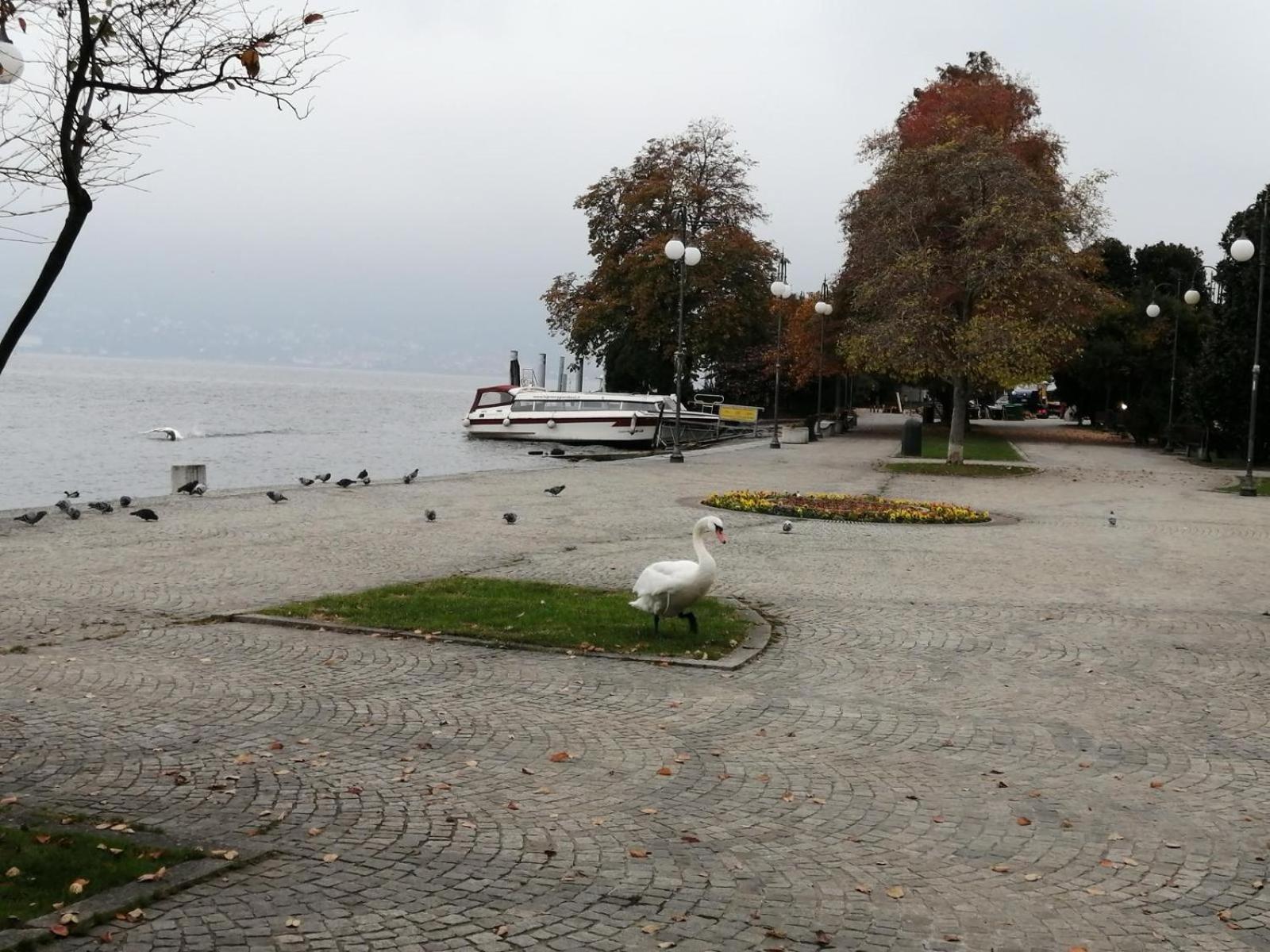 Casa Vacanze La Formica Verbania Dış mekan fotoğraf